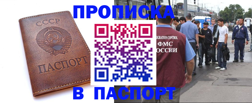 временная регистрация поиск в Видном